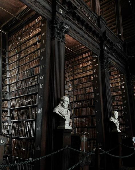 Book Core Aesthetic, Dark Academia Books Aesthetic, Gothic Academia Aesthetic, Dark Academia Library, Dark Light Academia, Book Core, Dark Academia Book, Gothic Library, Gothic Academia