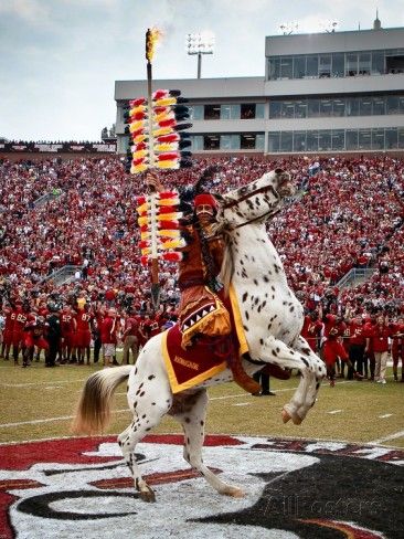 Florida State University - Renegade and Chief Osceola on the Field Photo by Ross Obley at AllPosters.com Florida State Seminoles Football, Florida State Football, Seminoles Football, Fsu Football, Wine Blog, Fsu Seminoles, Colleges In Florida, Dream College, Florida Girl