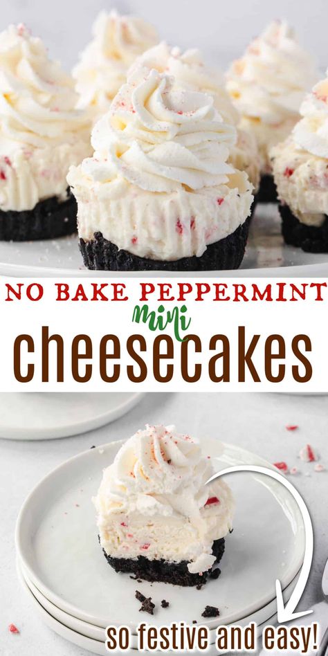 Christmas Desserts Not Cookies, Pie Recipes For Christmas, Christmas Desserts For Potluck, Peppermint Christmas Recipes, Oreo Peppermint Cheesecake Bites, Mini Christmas Deserts, Holiday Finger Desserts, Deserts For Christmas Party Easy Recipes, Christmas Desserts To Bring To A Party