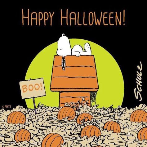 LoveThisPic offers Snoopy Pumpkin Patch Happy Halloween Quote pictures, photos & images, to be used on Facebook, Tumblr, Pinterest, Twitter and other websites. Happy Halloween Quotes, Pumpkin Patch Sign, Great Pumpkin Charlie Brown, Peanuts Halloween, Charlie Brown Halloween, Fun Characters, Snoopy Halloween, Charles Schulz, Snoopy Images