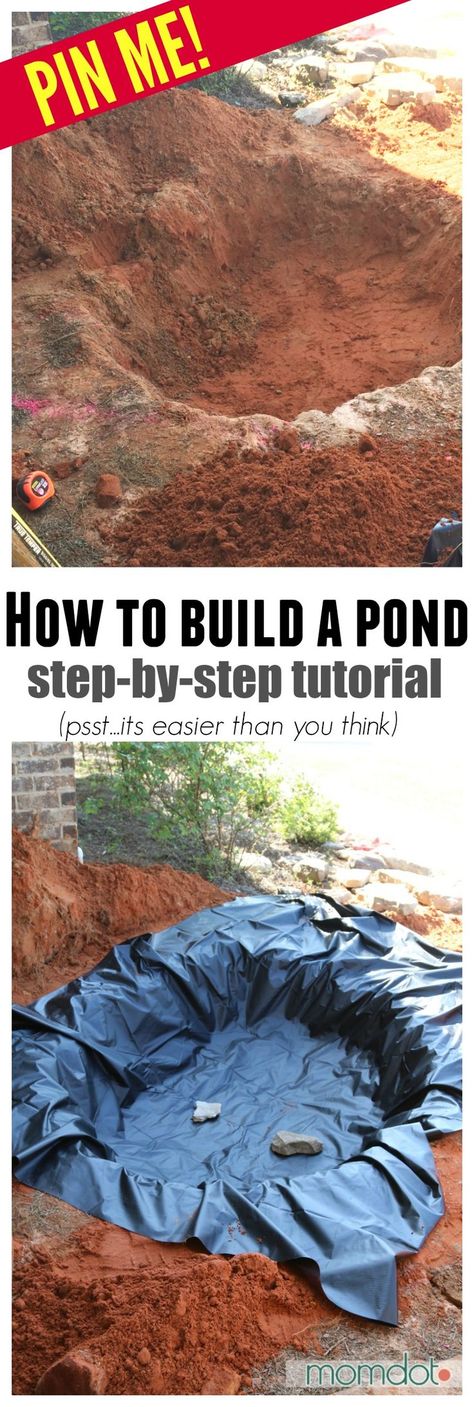 Build A Pond, Kolam Koi, Building A Pond, Garden Pond Design, Backyard Pond, Diy Pond, Pond Waterfall, Pond Landscaping, Backyard Water Feature