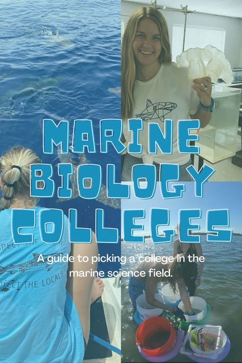 Biology Jobs, Choosing A College, Oceanography Marine Biology, Biology College, Animal Infographic, Marine Science, My Future Job, Biology Notes, Marine Biologist