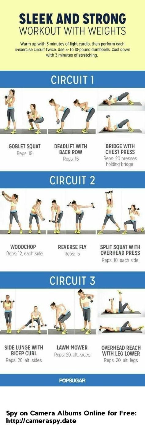 Holiday Weight, Weight Training Workouts, Circuit Workout, Strength Training Workouts, Body Fitness, Fitness Transformation, Weights Workout, Weight Training, Lose Belly