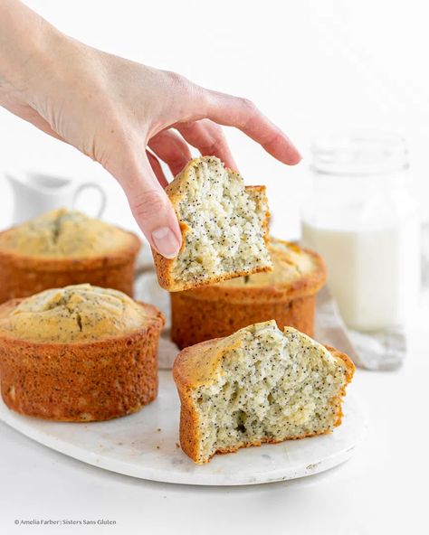 Giant Muffins, Costco Gluten Free, Costco Muffins, Almond Poppyseed, Almond Poppyseed Muffins, Poppy Seed Muffin Recipe, Poppyseed Muffins, Healthy Cakes, Craving Sweets