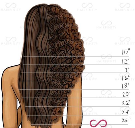 Growth chart Types Of Bangs Chart, 3c Curls, Official Hairstyle, Hairstylist Quotes, Hair Goal, Lumpy Space, Hair Length Chart, Morning Beauty Routine, Natural Hair Art