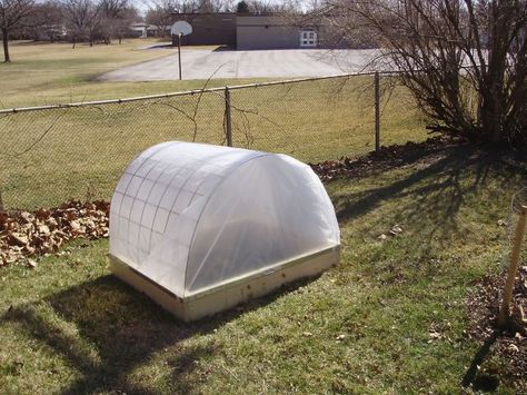 How To Build a Mini Hoop House Mini Hoop House, Diy Greenhouses, Hoop House, Plants And Gardening, Backyard Greenhouse, Small Greenhouse, Greenhouse Plans, Farm Ideas, Diy Greenhouse