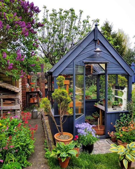 Greenhouse In Front Yard, Greenhouse Goals, Dreamy Cottage, Cottage Garden Sheds, Cottage Garden Ideas, Backyard Tent, Backyard Farm, Dreamy Garden, Backyard Garden Layout