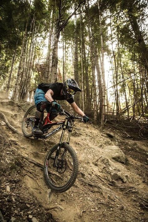 Mountain Biking Photography, Mt Bike, Mountain Bike Art, Mountain Biking Women, Mountain Biking Gear, Bike Pictures, Downhill Mountain Biking, Bicycle Mountain Bike, Downhill Bike