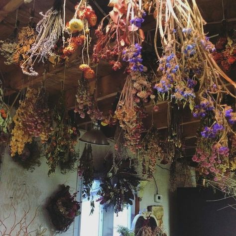 The Wiccan Path — Drying herbs and flowers from the ceiling for home... Herb Witch Aesthetic, Herb Witch, Winter Flowers Garden, Small Herb Gardens, Flowers Hanging, Magia Das Ervas, Witch Cottage, Witch Garden, Cottage In The Woods