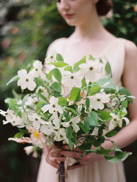 Petite Dogwood Bouquet, Dogwood Wedding, Easter Wedding Ideas, Simple Wedding Ideas, Modern Wedding Bouquets, Cascading Wedding Bouquets, Top Wedding Trends, Long Sleeve Wedding Gowns, Wedding Gowns With Sleeves