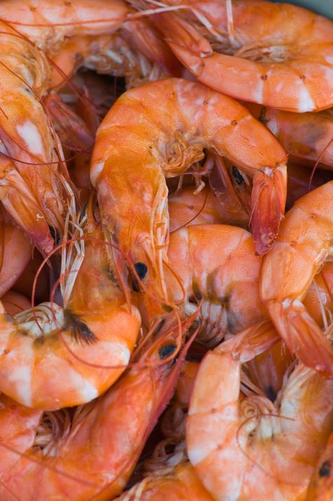 Oliver Thames’ LowCountry Boil Desserts For Camping, Fresh Fish Photography, Lowcountry Boil, Crabby Patties, Frozen Shrimp Recipes, Prawn Fish, Shrimp Boil Recipe, Fish Photography, Camping Desserts