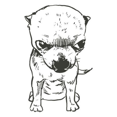 Angry chihuahua hand drawn PNG Design Chihuahua Drawing Cartoon, Chihuahua Doodle, Chihuahua Sketch, Angry Chihuahua, Chihuahua Drawing, Chihuahua Tattoo, Chihuahua Art, Ugly Dogs, Dog Pop Art