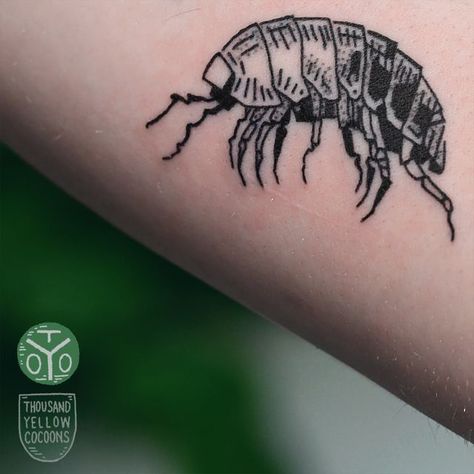 Bug Tattoo Knee, Pillbug Tattoo, Potato Bug Tattoo, Rollie Pollie Tattoo, Pill Bug Tattoo, Weevil Tattoo, Small Insect Tattoo, Isopod Drawing, Millipede Tattoo