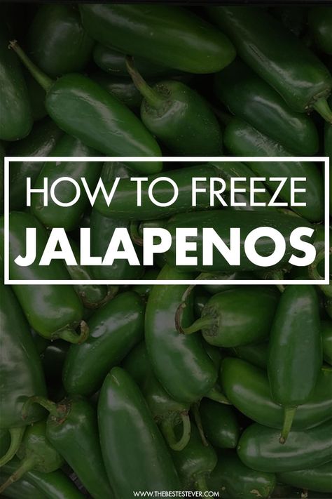 Freezing Jalapeno Peppers Whole, What To Do With Garden Jalapenos, What Can You Make With Jalapenos, How To Dry Jalapeno Peppers, How To Save Jalapeno Peppers, What To Do With Excess Jalapenos, How To Preserve Fresh Jalapenos, How To Preserve Jalapeños, How To Freeze Fresh Jalapenos