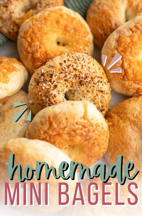 Mini Bagels  - Cooking With Karli Asiago Bagel Recipe, Mini Bagels Recipe, Donut Pan Recipe, Bagels Homemade, Bagels Easy, Homemade Bagel Recipe, Bagels Breakfast, Bagel Recipes, Bagel Recipe Easy