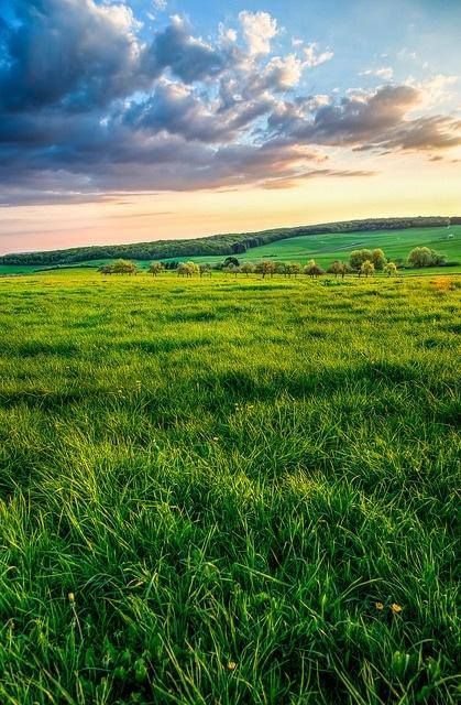 Grasslands that go on and on Magic Places, Forest View, Open Field, Foto Art, Green Grass, Amazing Nature, Nature Photos, Nature Beauty, Beautiful World