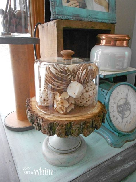 Not Just a Cheese Dome Anymore! Cheese Dome Decor Display, Cheese Dome Decor, Cloche Ideas, Cheese Dome, Repurposed Items, Decor Display, You Never Know, The Deal, Home Decor Furniture