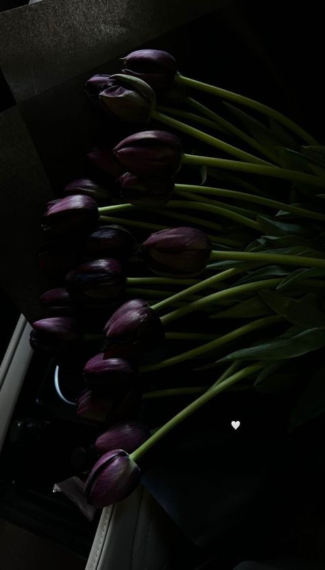 Feminine Wallpaper, Not Aesthetic, Violet Aesthetic, Vintage Flowers Wallpaper, Black Tulips, Tulip Bouquet, Nothing But Flowers, Purple Tulips, No Rain