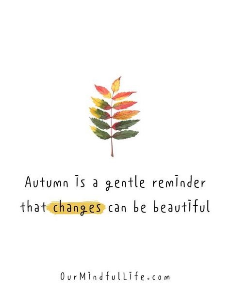 I Notice That Autumn Is More, Autumn Reminds Us How Beautiful, Fall Is A Reminder That Change Can Be Beautiful, Fall Wellness Quotes, Start Of Fall Quotes, Positive Quotes Fall Themed, Early Fall Quotes, Quote About October, Goodbye October Hello November Quotes