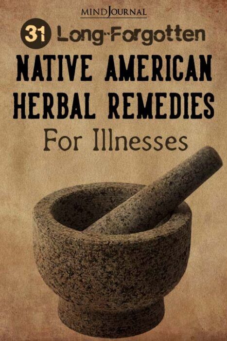 Native American Remedies, Herbal Preparations, Native American Herbs, Home Remedies For Allergies, Herbal Remedies Recipes, Natural Remedies For Migraines, Natural Antibiotic, Fruits And Flowers, Healing Remedies