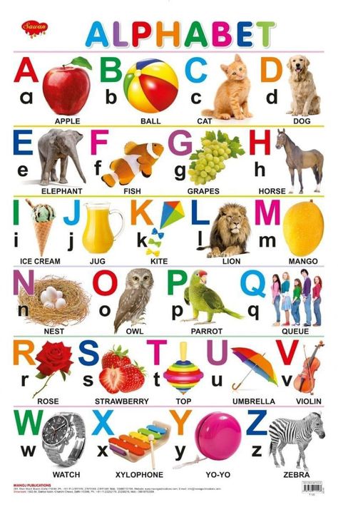 How to teach phonics to beginners through Urdu/Hindi. Abc Chart For Kids, Abc Cart, English Alphabet Chart, Abcd Chart, Abc Charts, Animals Chart, Kids Learning Charts, Abc Lettering, Animal Chart