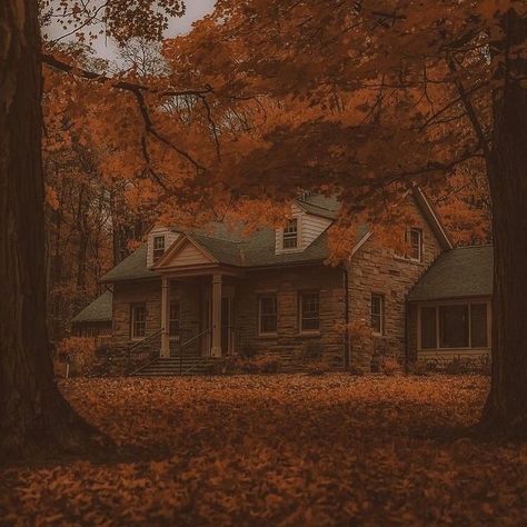 fall icon Estilo Emo, Fall Mood Board, Dark Autumn, Season Of The Witch, Autumn Scenery, Fall Feels, Fall Pictures, Best Seasons, Autumn Cozy