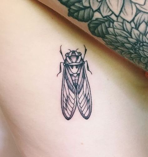 American Traditional Cicada Tattoo, Simple Cicada Tattoo, Cicada Tattoo Traditional, Cicada Wing Tattoo, Cicada Tattoo Design, Bug Tattoos For Women, Cicada Tattoo, Beetle Tattoo, Traditional Tattoo Flowers