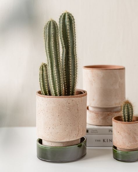 Plants Decoration Ideas, Cactus Aesthetic, Diy Planters Pots, Clay Plant Pots, Pottery Plant Pot, Plant Pot Design, Handmade Ceramic Planters, Pottery Pots, Indoor Flower Pots