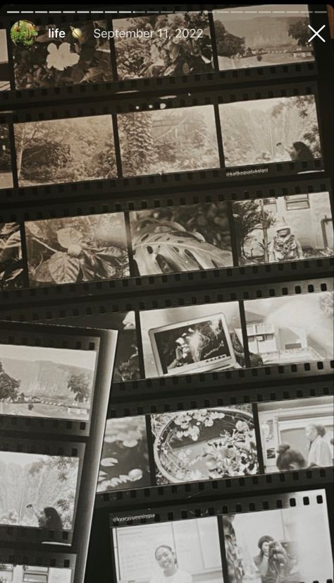 film negatives, film camera inspo, film pics, film aesthetic, black and white film, old film camera aesthetic, insta story inspo, instagram story aesthetic Film Rolls Aesthetic, Photo Film Aesthetic, Camera Film Roll Aesthetic, Film Roll Aesthetic, Film Strip Aesthetic, Old Film Roll, Black And White Film Aesthetic, Old Film Aesthetic, Camera Film Roll