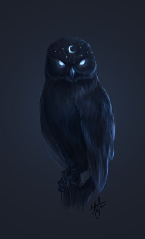 Mystical Animals, Heroic Fantasy, Animal Magic, Cute Fantasy Creatures, Fantasy Beasts, Fantasy Creatures Art, Mythical Creatures Art, Night Owl, Mystical Creatures