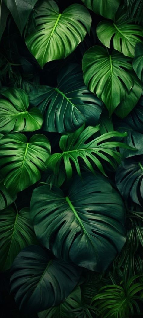 Earthy Iphone Wallpaper, Bohemian Aesthetic Wallpaper, Botanical Iphone Wallpaper, Greenery Aesthetic, Leaves Wallpaper Iphone, Earth Aesthetic, Green Nature Wallpaper, Tropical Art Print, Iphone Wallpaper Hd Nature