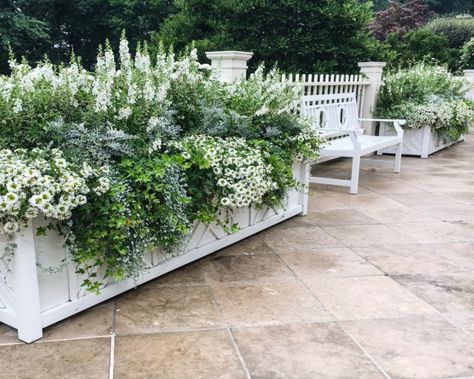 Hamptons Garden, Hampton Garden, Small Flower Gardens, Landscape Nursery, Scout Guide, Moon Garden, Have Inspiration, Garden Containers, Garden Designs