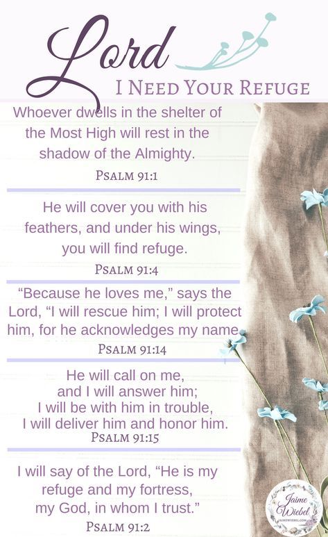 Psalm 91 - 5 Verses when you want to seek shelter and refuge in the Lord #TrustinGod #Faith #FearNot Loving God With All Your Heart, How To Seek God With All Your Heart, Psalm 91 Prayer Of Protection, Courage Scripture, Encouragement Jar, Military Letters, Bible Verses For Hard Times, Psalm 91 Prayer, God Verses