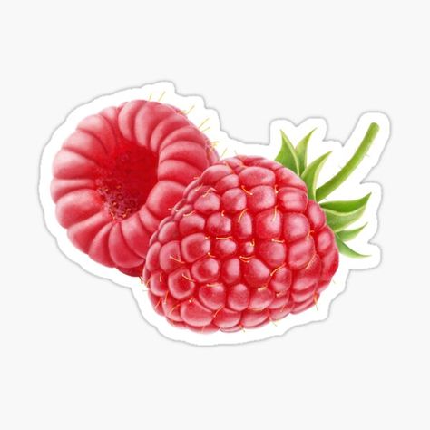 "Raspberries" Sticker by 6hands | Redbubble Aesthetic Raspberry, Chocolate Template, Pancake Drawing, Banana Sticker, Stickers Cool, Kindle Stickers, Stickers Ideas, Aesthetic Sticker, Bubble Stickers