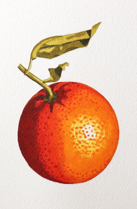 Leaves In Watercolor, Paintings Wall Decor, Nature Paint, Fruit Art Drawings, Watercolor Food Illustration, Crayons Pastel, Home Nature, Fruits Drawing, Orange Painting