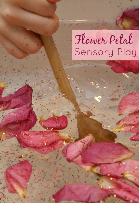 Flower Petal Sensory Play. Fun way to use old flower petals. Great for toddlers and preschoolers! Sensory Tubs, Nursery Activities, Toddler Sensory, Preschool Valentines, Spring Preschool, Valentine Activities, Toddlers And Preschoolers, Kids Sensory, Health Information