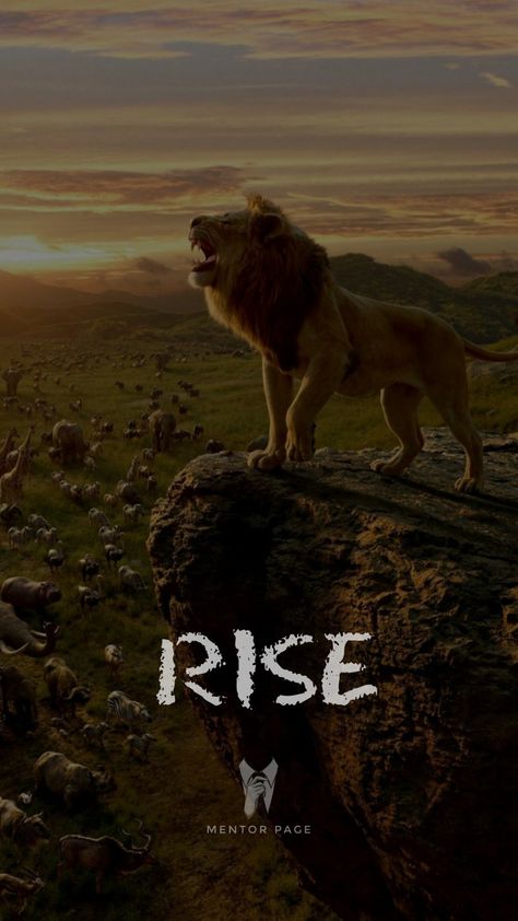 Lion wallpaper,attitude wallpaper,one word motivation,Android wallpaper,iPhone wallpaper Lion Motivation Wallpaper, Wallpaper Iphone Lion, Lion Attitude Quotes, Strong Wallpaper, Lion Attitude, Attitude Wallpaper, Lion Motivation, Wallpaper Lion, Lion Wallpaper Iphone