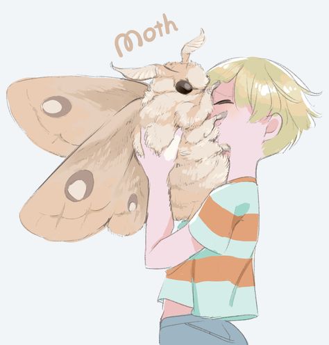 Cute Moth Art, Fluffy Moths, Moth People, Fancy Animals, Moth Drawing, Cute Moth, Moth Art, Cute Doodles Drawings, Cute Little Drawings