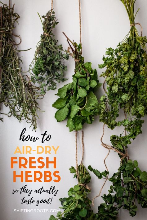 I love growing herbs in my garden but I never know how to preserve them so they still taste good.  I can't believe how easy it is to preserve herbs with air drying--although there's more to it than meets the eye.  This post has lots of good tips. #herbs #air #drying #preserving Preserve Herbs, Herbs At Home, Drying Fresh Herbs, Preserving Herbs, Herb Gardening, Garden Types, Veg Garden, Indoor Gardens, Herbs Indoors