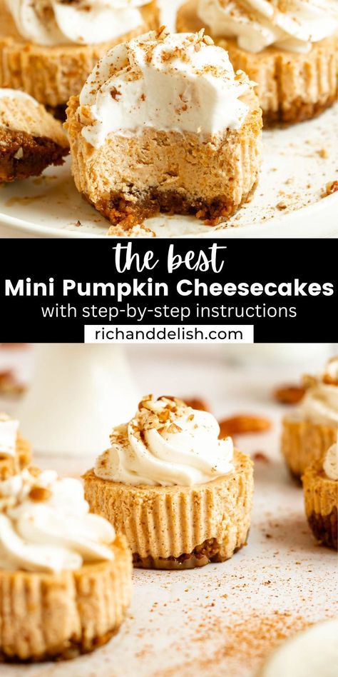 Mini Pumpkin Cheesecake Pies, Pumpkin Oreo Cheesecake Cupcakes, Pumpkin Desserts For Party, Dessert Recipe With Cream Cheese, Fall Dessert Appetizers, Mini Pumpkin Cheesecakes Easy, Pumpkin Biscoff Cheesecake, Halloween Cheesecake Bars, Fall Mini Cheesecake Recipes