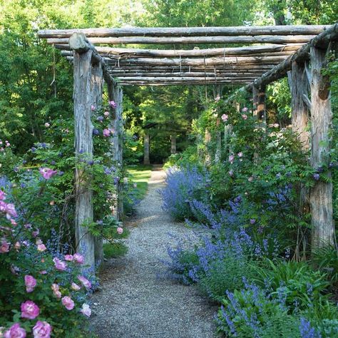 The Natural Garden Arbour: 5 Ideas for Creating Your Own | PITH + VIGOR by Rochelle Greayer Rustic Arbor, Rustic Pergola, Garden Vines, Piscina Natural, Garden Arbor, Pergola Patio, Natural Garden, Design Magazine, Garden Structures