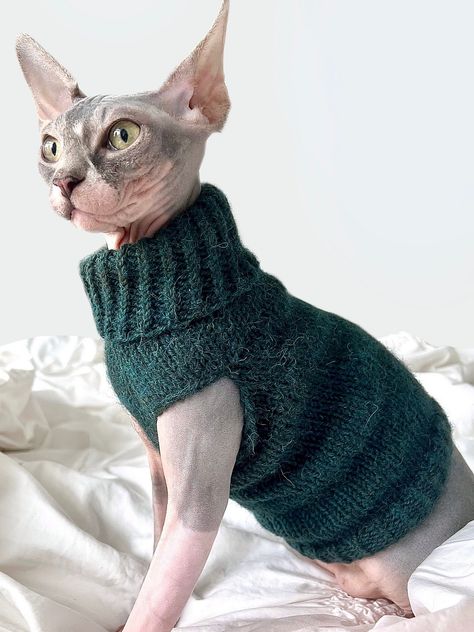 Luna Is An Easy-Knit Three-Hour Cat Sweater That Comes In Five Sizes! - KnitHacker Cat Jumper Knitting Pattern Free, Knit Cat Sweater Pattern, Kitten Sweater Pattern, Knit Cat Sweater, Luna The Cat, Cat Sweater Knitting Pattern, Cat Sweater Pattern, Knit Cat, Luna Cat