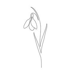 Snow Drop One Line Tattoo, Online Flower Tattoo, Small Snowdrop Flower Tattoo, Tiny Snowdrop Tattoo, One Line Snowdrop Tattoo, Small Snowdrop Tattoo, Galanthus Tattoo, Snowdrop Line Drawing, Snowdrop Doodle