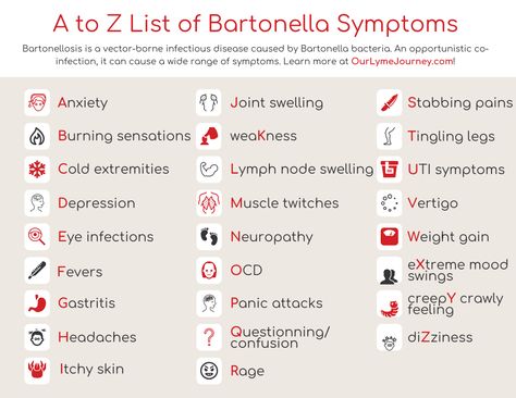 Bartonellosis is a vector-borne infectious disease caused by Bartonella bacteria. An opportunistic co-infection, it can cause a wide range of symptoms, including these 26. Learn more at OurLymeJourney.com! Bartonella Symptoms, Muscle Twitching, Eye Infections, Fantasy Stuff, Lymph Nodes, Never Alone, A Beast, Itchy Skin, A To Z