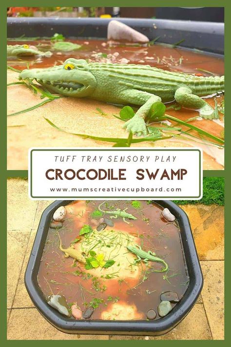 Swamp Tuff Tray, Crocodile Sensory Play, Animal Messy Play Ideas, Crocodile Eyfs Activities, Zoo Messy Play Ideas, Jungle Outdoor Activities For Preschool, Jungle Animal Tuff Tray Ideas, Safari Messy Play, Jungle Messy Play Ideas