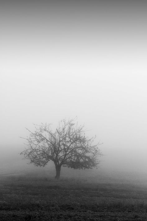 Morning Fog, Middle Of Nowhere, Different World, The Middle, Wallpapers, Collage, Black And White, Pins, White