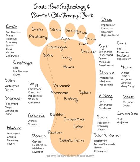 Most of us like a nice foot rub.  By providing a basic map of the foot (aka reflexology) and suggested essential oils, a simple foot rub cou... Topical Essential Oils, Essential Oil Chart, Reflexology Foot Chart, Essential Oils For Babies, Reflexology Chart, Essential Oils For Kids, Oils For Sleep, Young Living Essential Oils Recipes, Essential Oils For Sleep