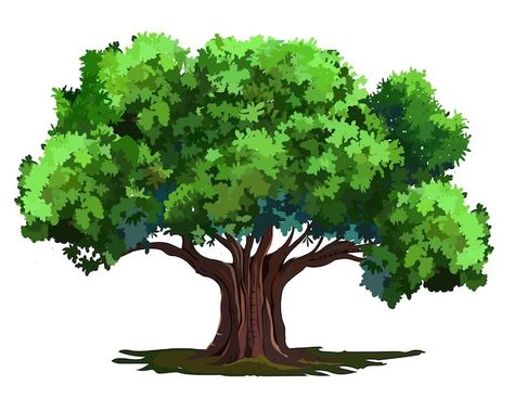 Vector baniyan tree big tree for 2d anim... | Premium Vector #Freepik #vector #big-tree #banyan-tree #village-tree #big-tree-village 2d Tree, Tree Animation, Tree Animated, Village Tree, Tree Village, Pink Flowers Wallpaper, Indian Village, Banyan Tree, Big Tree