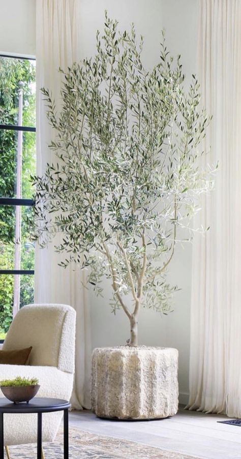 Tv Gallery Wall, Fall Decor Home, Indoor Tree, Blogger Home, Faux Olive Tree, Quirky Home Decor, Interior Plants, House Plants Decor, Home Remodel