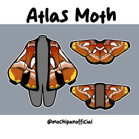 (Pre-Sample Pre-Order) Atlas Moth Cardigan Moth Cardigan Crochet, Atlas Moth Aesthetic, Moth Outfit Aesthetic, Crochet Moth Cardigan, Moth Inspired Outfit, Moth Clothes, Moth Outfit, Moth Diy, Moth Clothing